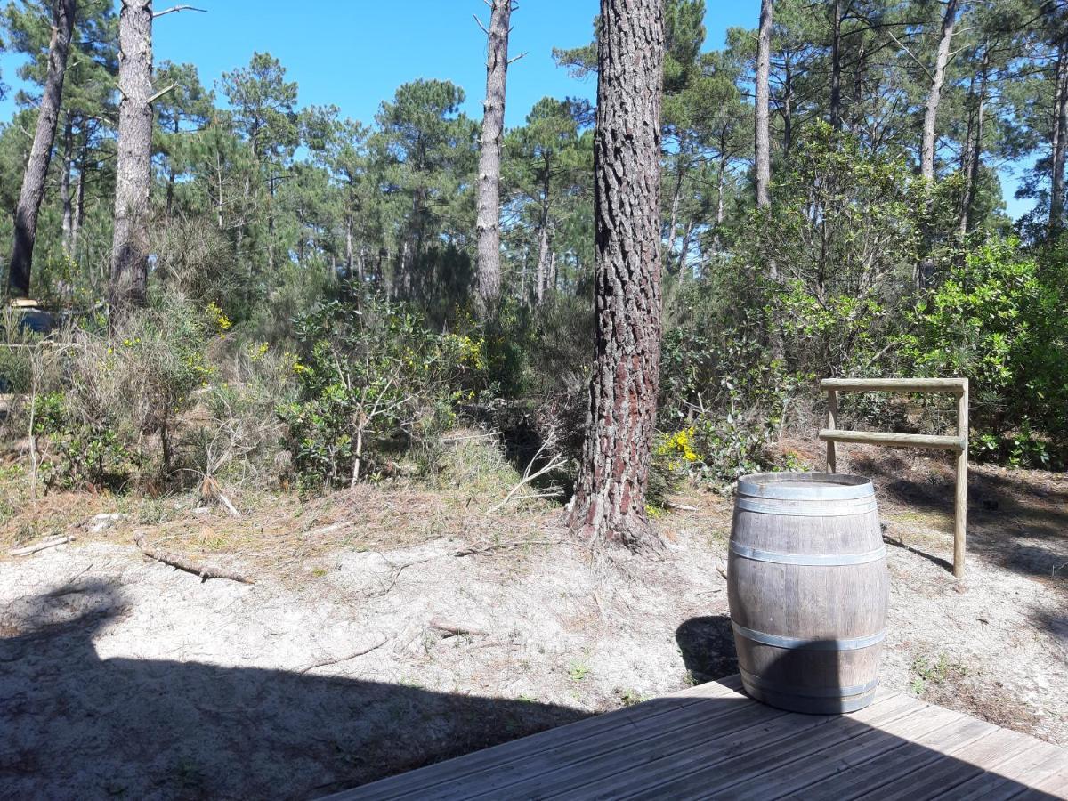 Domaine Residentiel Naturiste De La Jenny Chalet 6 Pers Βίλα Le Porge Εξωτερικό φωτογραφία